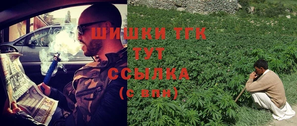 стаф Костерёво