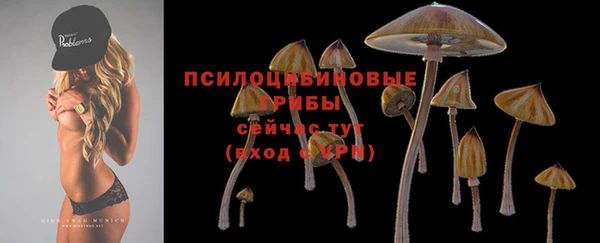 стаф Костерёво