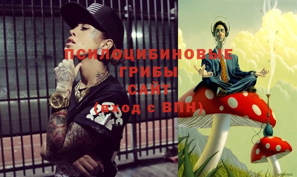 стаф Костерёво