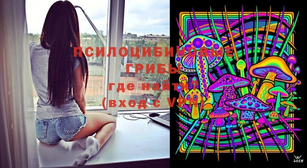 стаф Костерёво