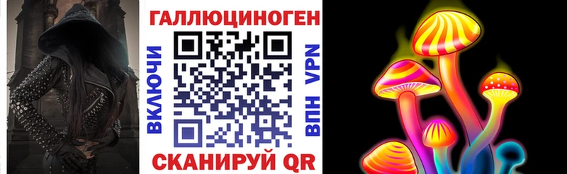 Купить где  Лобня  Псилоцибиновые грибы GOLDEN TEACHER 