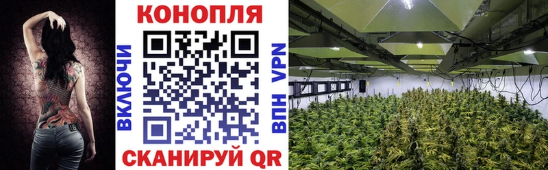 Купить где  Лобня  МАРИХУАНА VHQ 